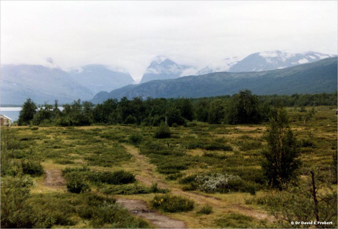 image100