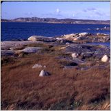 Click to enlarge Photo of the 4 Week Nordic Tour of Stockholm, Gothenburg, Oslo, Aalborg and Copenhagen