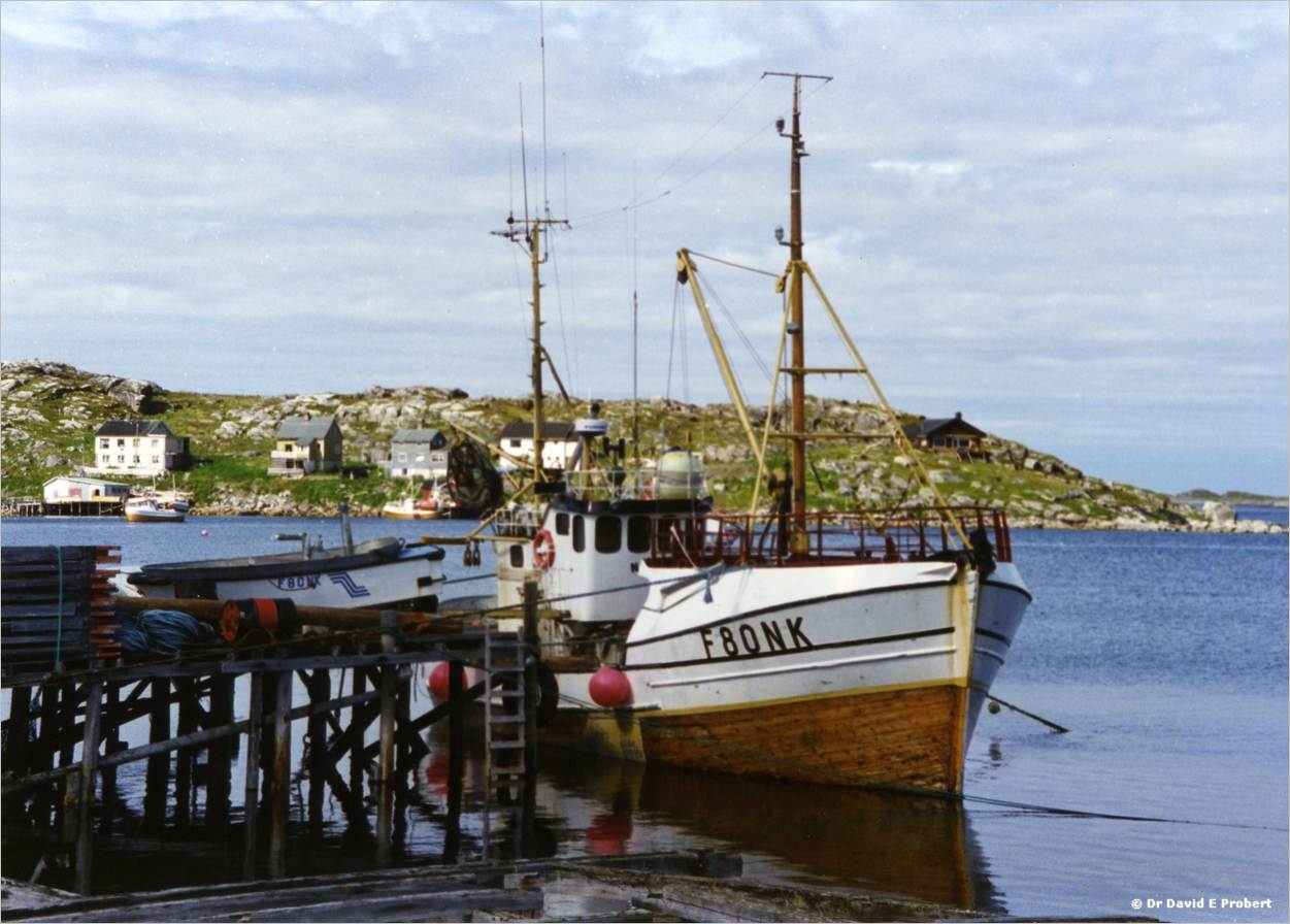 image081