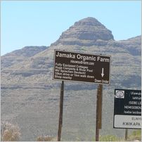 Click to enlarge photo from our 3000Mile tour of South Africa - Jan/Feb 2009