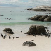 Click to enlarge photo from our 3000Mile tour of South Africa - Jan/Feb 2009