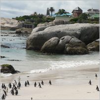 Click to enlarge photo from our 3000Mile tour of South Africa - Jan/Feb 2009