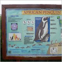 Click to enlarge photo from our 3000Mile tour of South Africa - Jan/Feb 2009