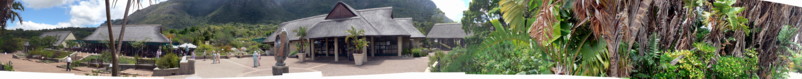 Kirstenbosch Botanical Garden - Cape Town - South Africa