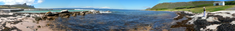 Click here for a Panorama of False Bay from the Cape Peninsula