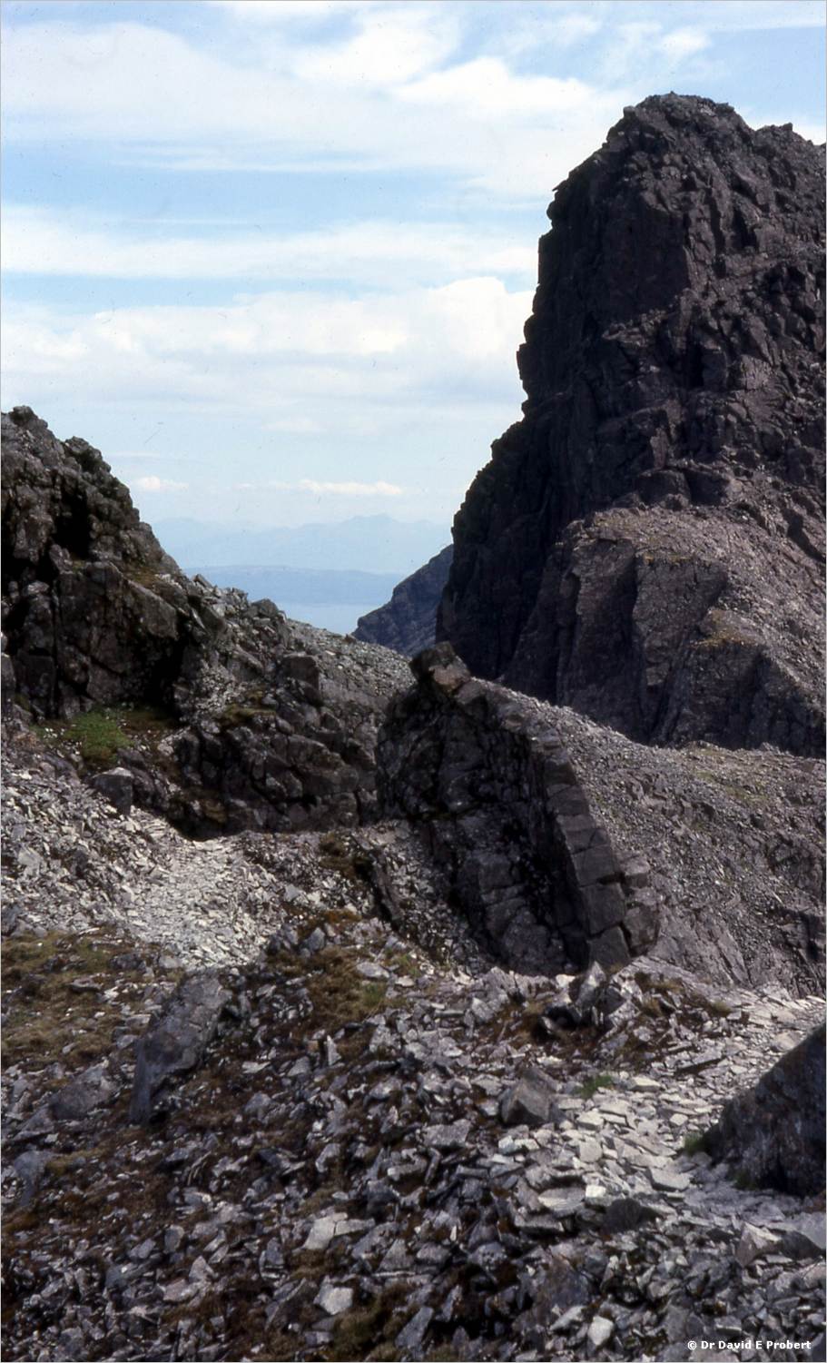 image817