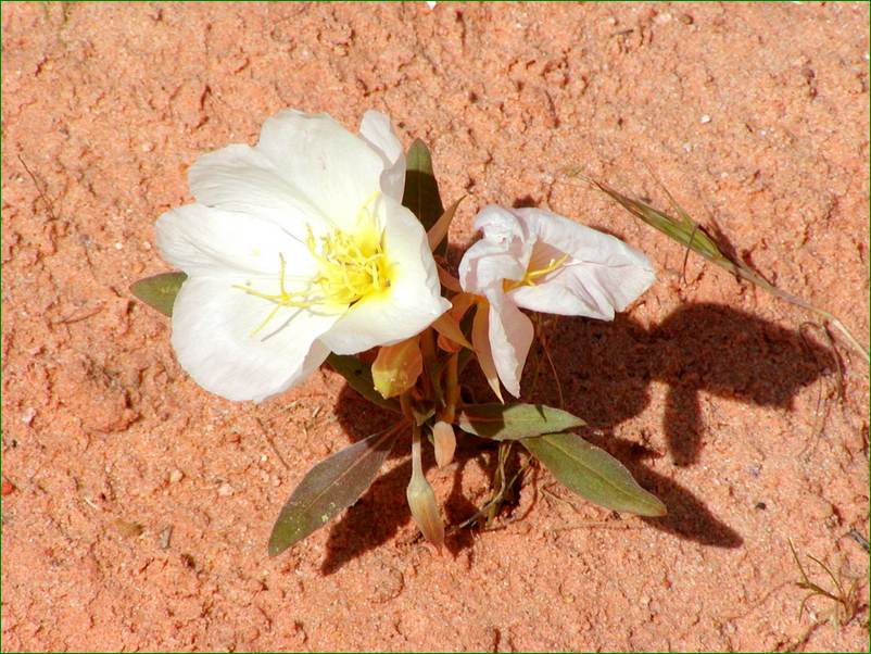 P4080008