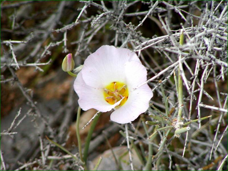 P4090171
