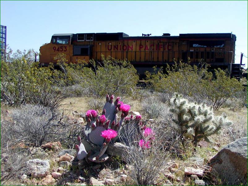 P4100025