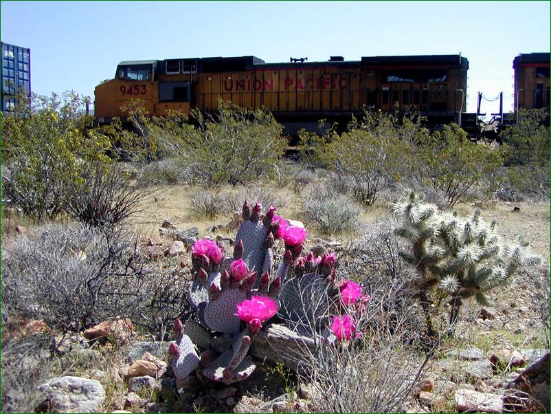 P4100027