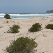 Click to enlarge photo - South Africa - Cape Town to Grahamstown and back - 2000 miles.