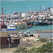Click to enlarge photo - South Africa - Cape Town to Grahamstown and back - 2000 miles.