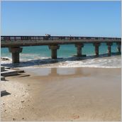 Click to enlarge photo - South Africa - Cape Town to Grahamstown and back - 2000 miles.