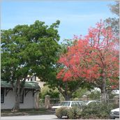 Click to enlarge photo - South Africa - Cape Town to Grahamstown and back - 2000 miles.