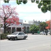 Click to enlarge photo - South Africa - Cape Town to Grahamstown and back - 2000 miles.