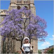Click to enlarge photo - South Africa - Cape Town to Grahamstown and back - 2000 miles.
