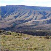 Click to enlarge photo - South Africa - Cape Town to Grahamstown and back - 2000 miles.