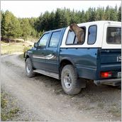 Click to enlarge photo - South Africa - Cape Town to Grahamstown and back - 2000 miles.