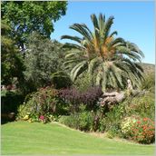Click to enlarge photo - South Africa - Cape Town to Grahamstown and back - 2000 miles.