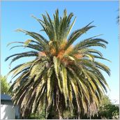 Click to enlarge photo - South Africa - Cape Town to Grahamstown and back - 2000 miles.