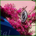 Click to enlarge image from Valentina's Trip from LAX to San Francisco, Reno, Death Valley, Vegas, Zion Canyon and back thru Cima, Kelso and Route 66 to LAX!