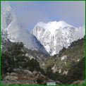 Click to enlarge image from Valentina's Trip from LAX to San Francisco, Reno, Death Valley, Vegas, Zion Canyon and back thru Cima, Kelso and Route 66 to LAX!