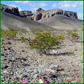 Click to enlarge image from Valentina's Trip from LAX to San Francisco, Reno, Death Valley, Vegas, Zion Canyon and back thru Cima, Kelso and Route 66 to LAX!