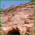Click to enlarge image from Valentina's Trip from LAX to San Francisco, Reno, Death Valley, Vegas, Zion Canyon and back thru Cima, Kelso and Route 66 to LAX!
