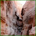Click to enlarge image from Valentina's Trip from LAX to San Francisco, Reno, Death Valley, Vegas, Zion Canyon and back thru Cima, Kelso and Route 66 to LAX!