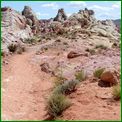 Click to enlarge image from Valentina's Trip from LAX to San Francisco, Reno, Death Valley, Vegas, Zion Canyon and back thru Cima, Kelso and Route 66 to LAX!