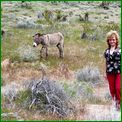 Click to enlarge image from Valentina's Trip from LAX to San Francisco, Reno, Death Valley, Vegas, Zion Canyon and back thru Cima, Kelso and Route 66 to LAX!