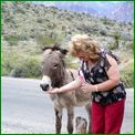 Click to enlarge image from Valentina's Trip from LAX to San Francisco, Reno, Death Valley, Vegas, Zion Canyon and back thru Cima, Kelso and Route 66 to LAX!