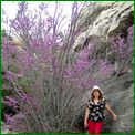 Click to enlarge image from Valentina's Trip from LAX to San Francisco, Reno, Death Valley, Vegas, Zion Canyon and back thru Cima, Kelso and Route 66 to LAX!