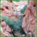 Click to enlarge image from Valentina's Trip from LAX to San Francisco, Reno, Death Valley, Vegas, Zion Canyon and back thru Cima, Kelso and Route 66 to LAX!