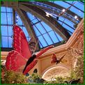 Click to enlarge image from Valentina's Trip from LAX to San Francisco, Reno, Death Valley, Vegas, Zion Canyon and back thru Cima, Kelso and Route 66 to LAX!