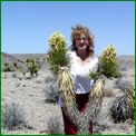 Click to enlarge image from Valentina's Trip from LAX to San Francisco, Reno, Death Valley, Vegas, Zion Canyon and back thru Cima, Kelso and Route 66 to LAX!