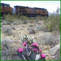 Click to enlarge image from Valentina's Trip from LAX to San Francisco, Reno, Death Valley, Vegas, Zion Canyon and back thru Cima, Kelso and Route 66 to LAX!