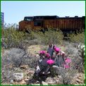 Click to enlarge image from Valentina's Trip from LAX to San Francisco, Reno, Death Valley, Vegas, Zion Canyon and back thru Cima, Kelso and Route 66 to LAX!